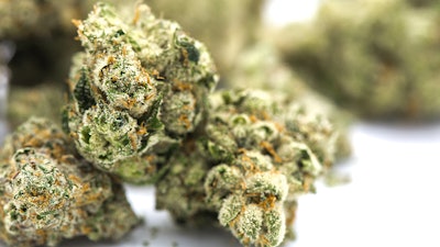 Ayr Nugs fla
