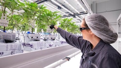 LightSky Farms takes a flavor-first approach to cannabis cultivation.