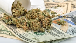 Md Nov Sales