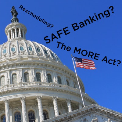 cannabis reform