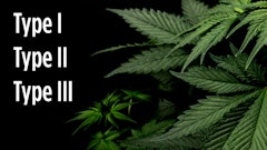 Typeicannabis