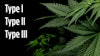 Typeicannabis