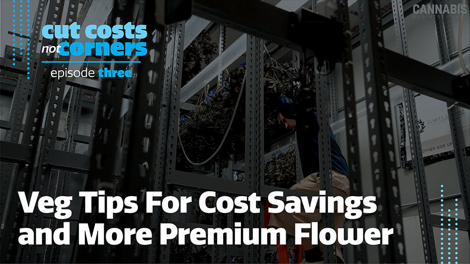 Veg Cost Savings