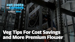 Veg Cost Savings