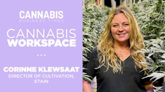 Cannabis Workspace 2024 Klewsaat