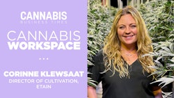 Cannabis Workspace 2024 Klewsaat