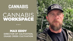Cannabis Workspace Eddy