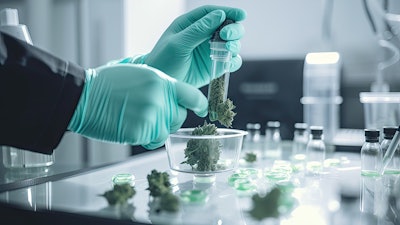 Cannabistesting