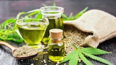 Hemp Adobe Stock Kostrez Resized