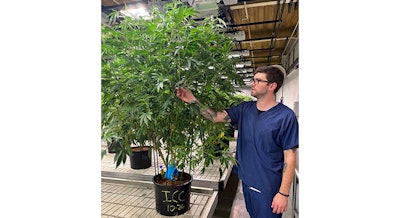 Mike Lentz Mother Room Kltuch Web