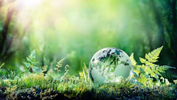 Sustainability Adobe Stock Romolo Tavani Resized