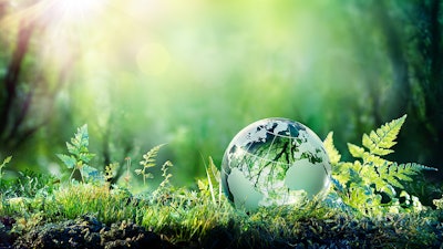 Sustainability Adobe Stock Romolo Tavani Resized
