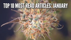 Top10 January24