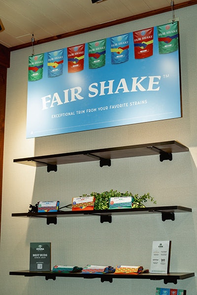 Verona Collective Fair Shake Resized