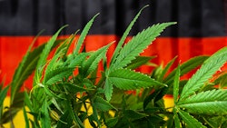 Germany Mj