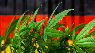 Germany Mj