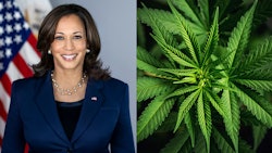 Kamala Merged