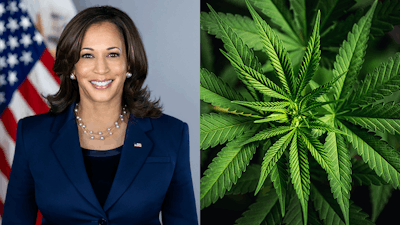 Kamala Merged