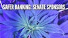 Safersponsors Project
