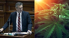 Sen tom davis Cropped