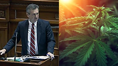 Sen tom davis Cropped