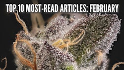 Top10 Februarydisplay