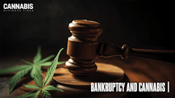 Bankruptcy And Cannabis