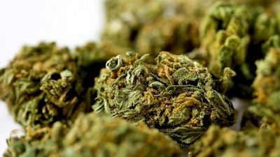 Bdsa Mj