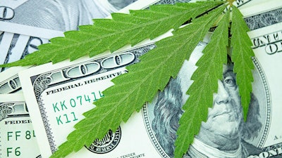 Canna Moneymj