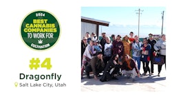 Company Cult Topstory Dragonfly