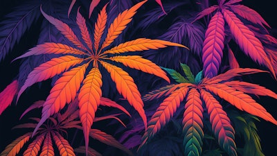 Hawaii Two