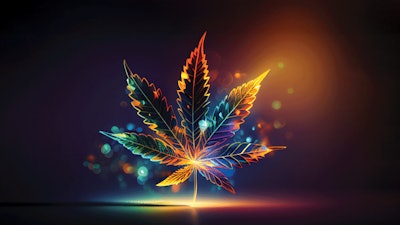Oleksandr | Adobe Stock