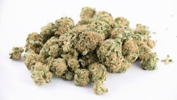 Minnesotaflowertopstory