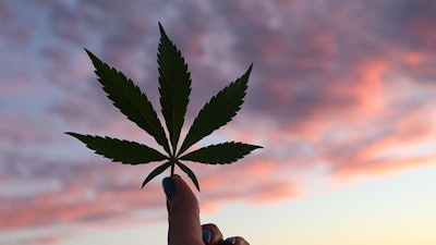 Mj Leaf sky
