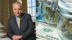 Schumer Safer