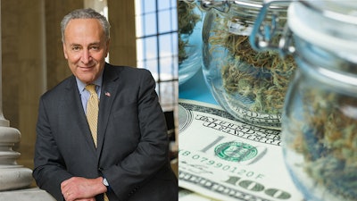 Schumer Safer