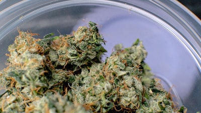 Virginia Sales