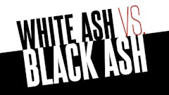 White Black Ash Fmt