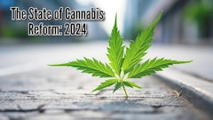 Cannabisreform Display
