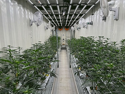 Cultivation Container Inside Look