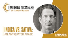 Indica Vs Sativa