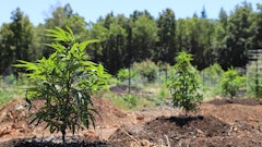 Outdoorfarm