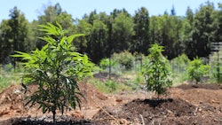Outdoorfarm