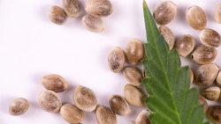 Tomorrowincannabis