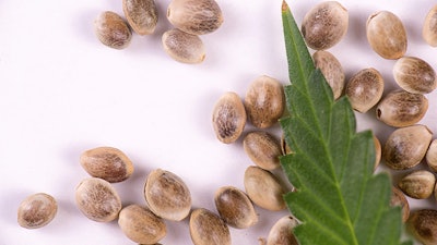 Tomorrowincannabis