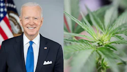 Biden Cannabis