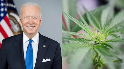 Biden Cannabis