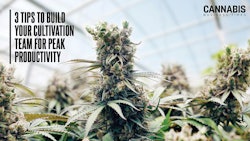 Cultivation Productivity