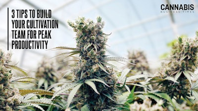 Cultivation Productivity