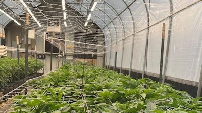 Echo Creek Greenhouse Web